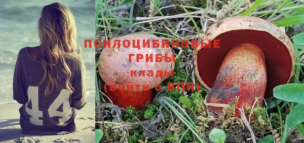 ПСИЛОЦИБИНОВЫЕ ГРИБЫ Магадан