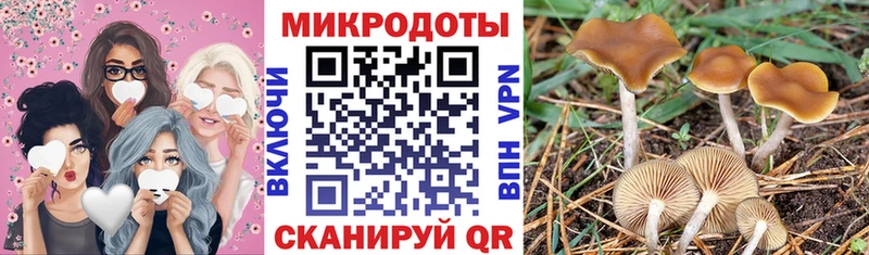 хочу   Себеж  omg ONION  Галлюциногенные грибы прущие грибы 